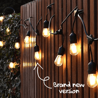 SolaGarden™ Festoon Lights (2025 Edition)