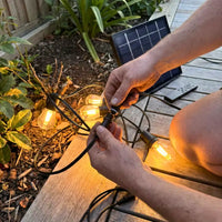 Festoon Extension Cable (3M)