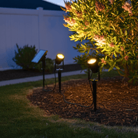 SolaGarden™ Spot Light Pack