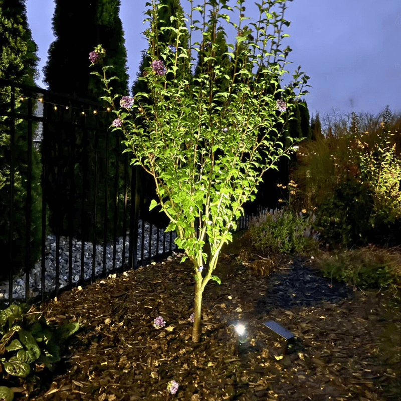 SolaGarden™ Spot Light Pack