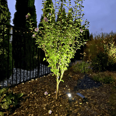 SolaGarden™ Spot Light Pack