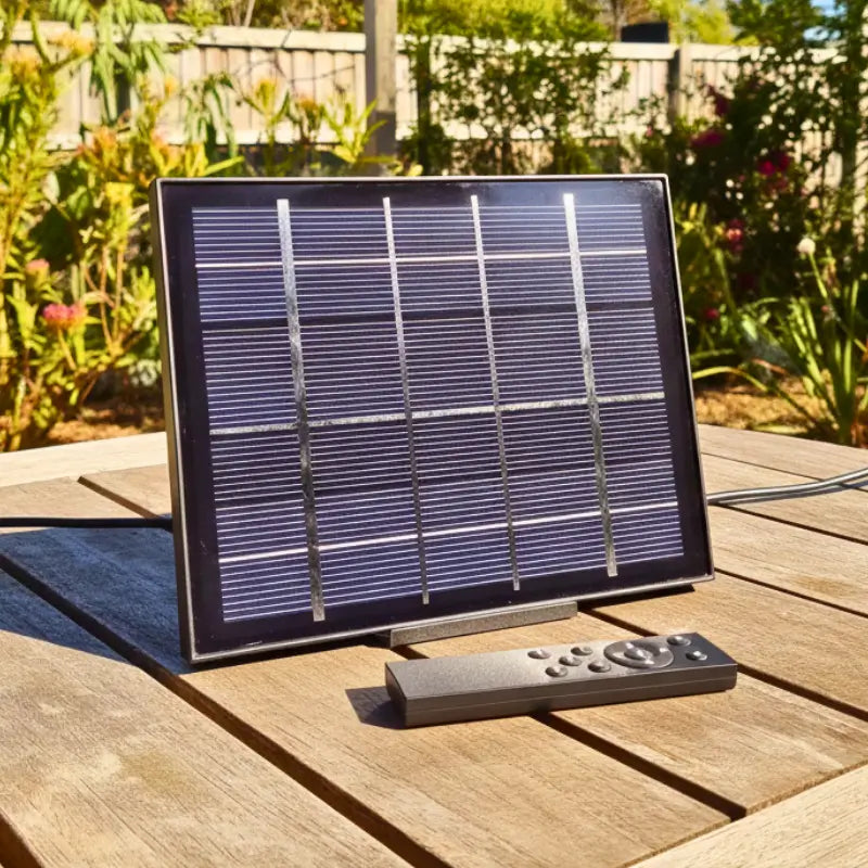 Festoon Solar Panel & Remote
