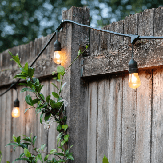 SolaGarden™ Festoon Light Replacement Bulbs