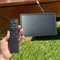 Festoon Solar Panel & Remote