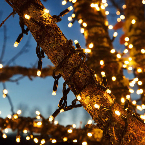 SolaGarden™ Fairy String Lights